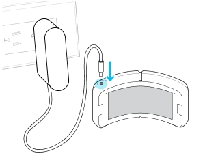 5.png